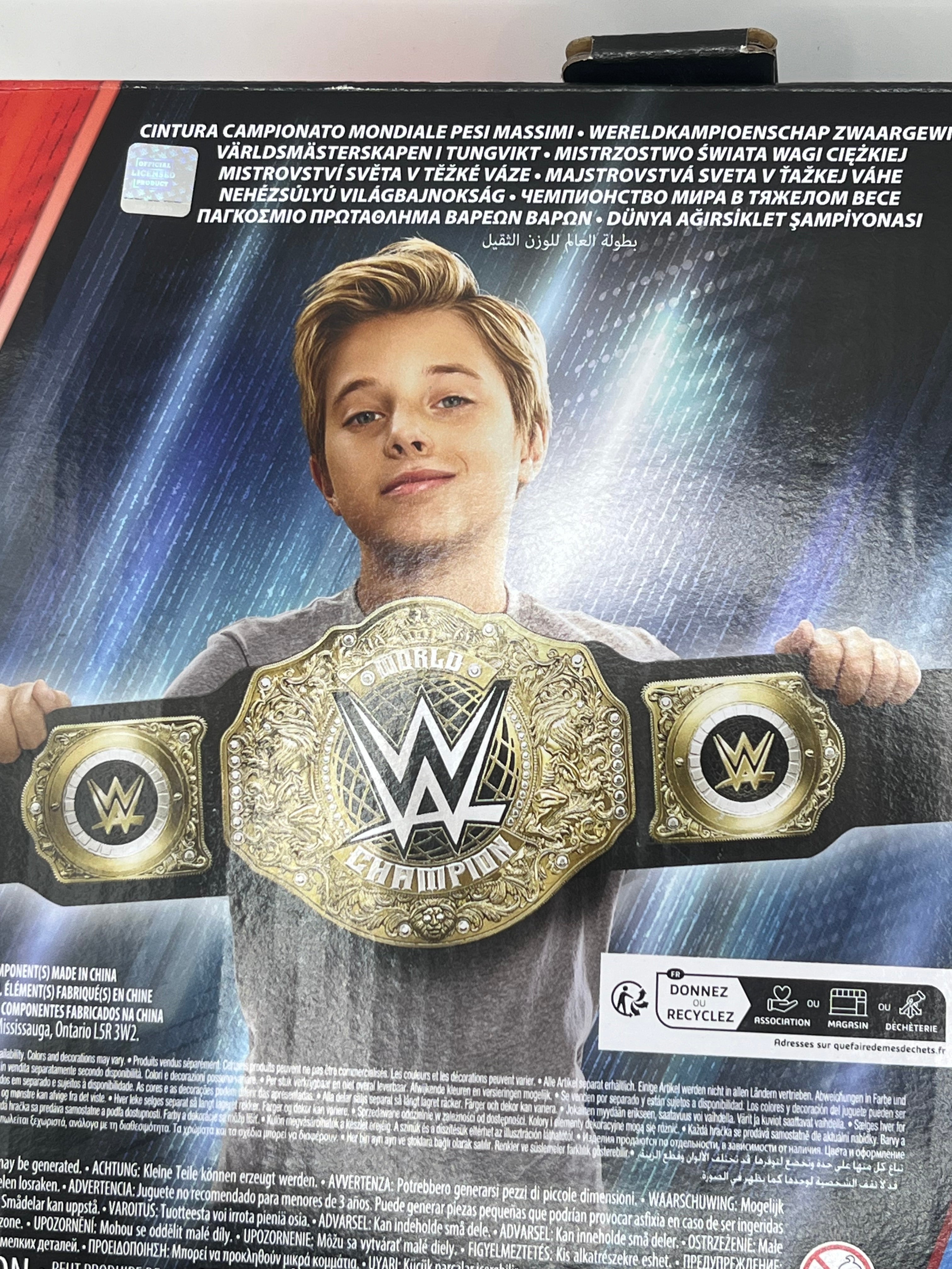 Pas WWE World Heavyweight Championship